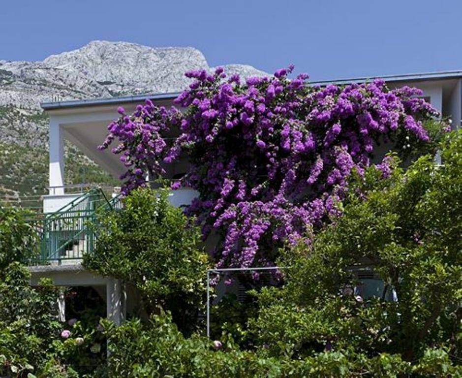 House Marta Apartment Baška Voda Exterior foto